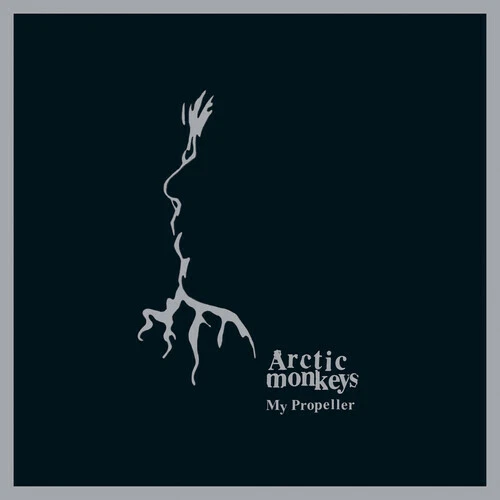 Arctic Monkeys 7