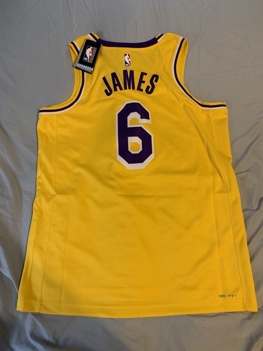 DN2009-728 NIKE NBA LOS ANGELES LAKERS ICON EDITION LEBRON JAMES