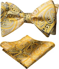 Alizeal Mens Gradient Paisley Self Bow Tie and Hanky Set