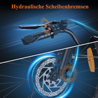Bild 6 von 12