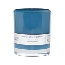   Blue Fern & Citrus 12oz Scented 2-wick Candle