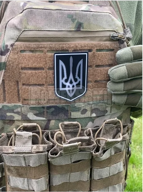 Ukrainian patch Chameleon Freedom💛💙