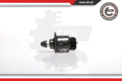 ESEN SKV 08SKV019 Idle Control Valve, Air Supply for Citroen Peugeot