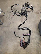 WMPHE Wiring Harness For LS1/LS6 Motors
