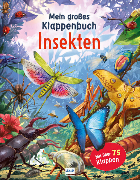 Thumbnail - Mein Großes Klappenbuch - Insekten | Rod Green | 2021 | Deutsch