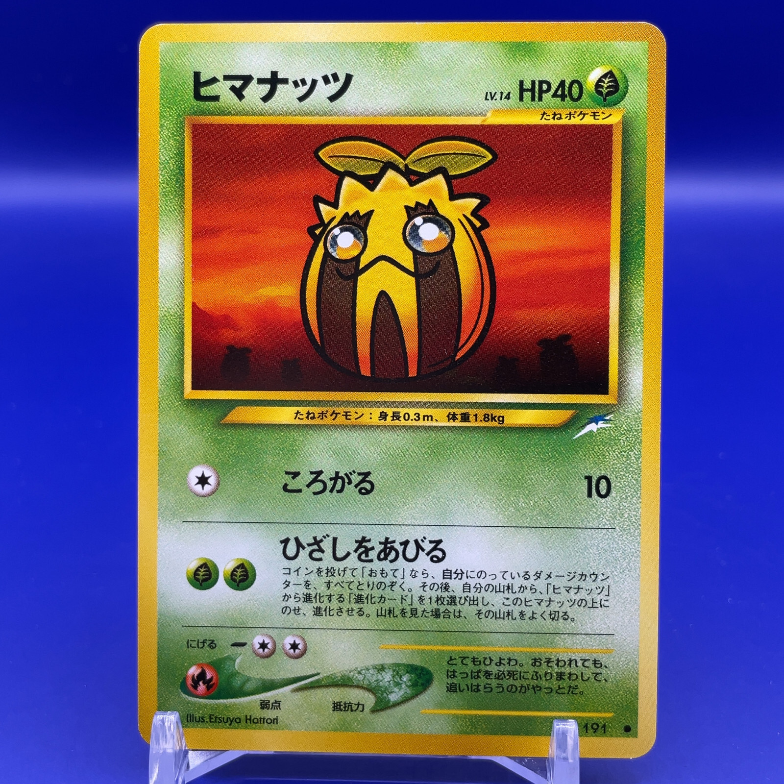Sunkern TCG Pokemon Card Game Japanese Japan Nintendo Anime Pocket Monster F/S