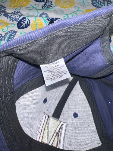 NEW MILLION MAN MARCH OFFICIAL EMBROIDED 1OTH ANNIVERSARY BLUE BASEBALL CAP 2005 - Picture 9 of 14