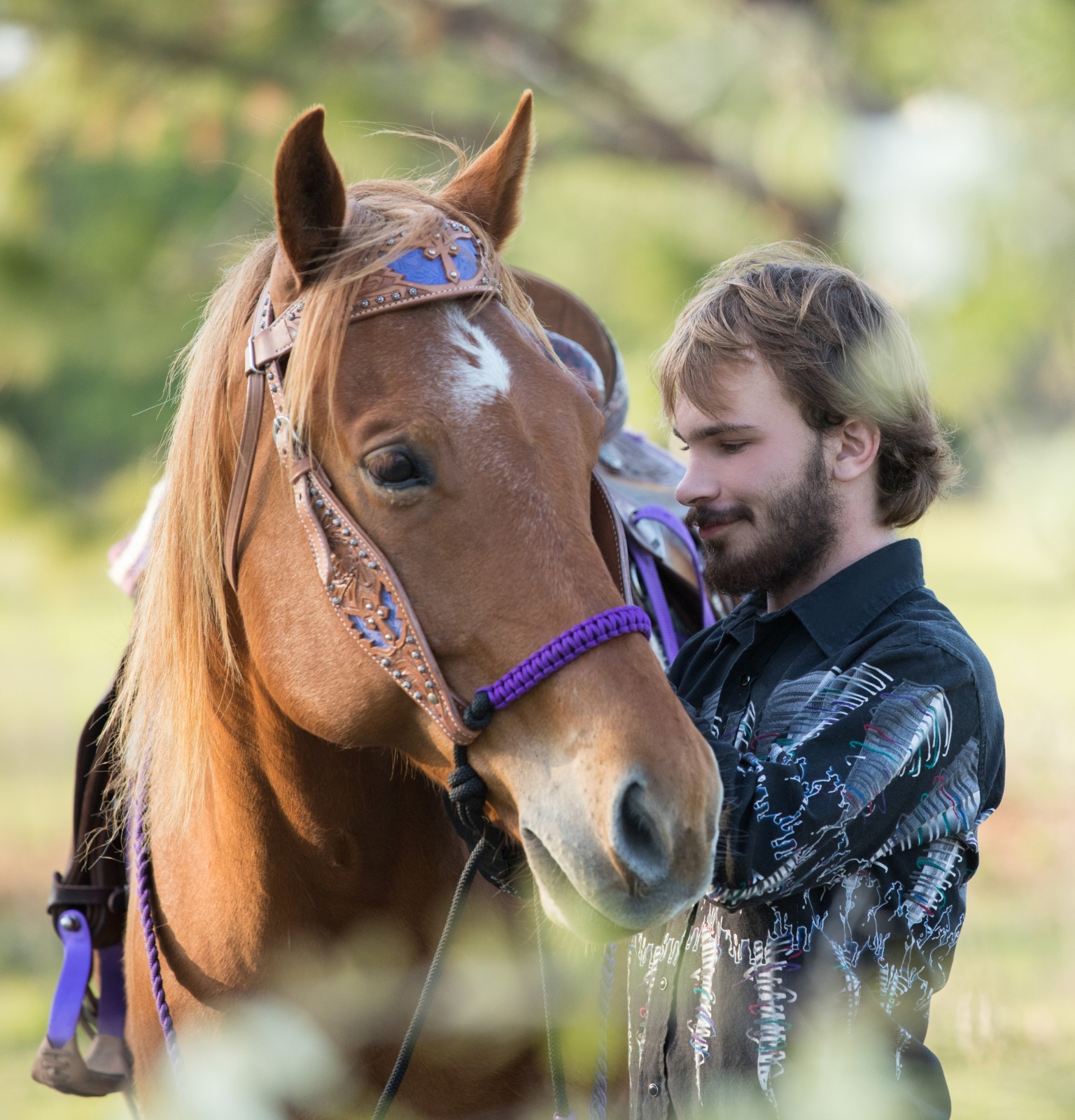indian bosal attachment hunter green miniature horse to draft size