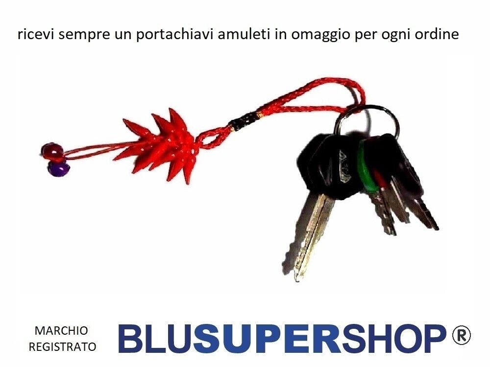 Foto 6 di 6