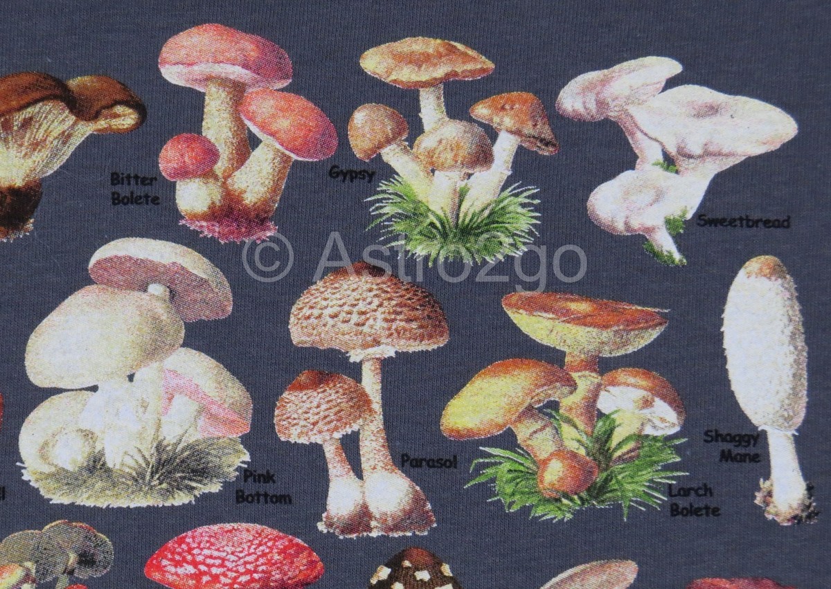 ★送料・関税込★CRITIC★MUSHROOM SHIRT.S★シャツ★ ULTIMATE MUSHROOM GUIDE--Toadstools Fungus Fungi Science