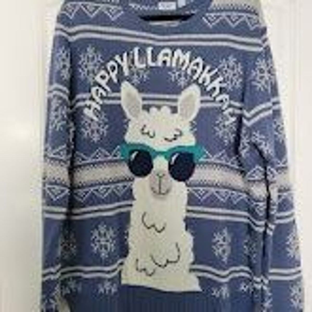 Hanukkah llama