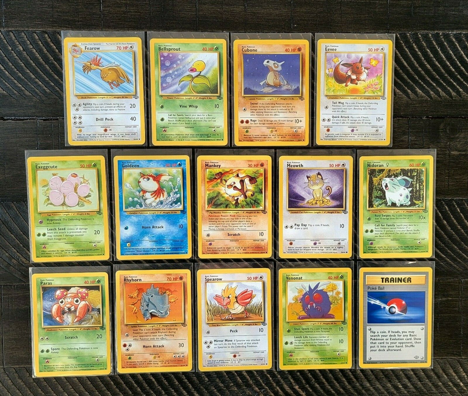 14 Vintage Jungle Set Pokemon Cards From June of 1999. Complete your