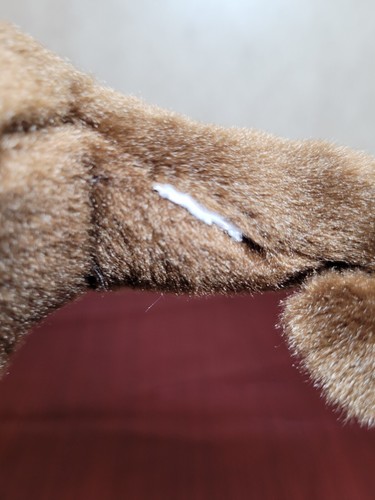 JUGUETE DE PELUCHE DE NUTRIA DE RÍO AURORA 2022 MARRÓN BLANCO 10,5" Sin etiqueta de relleno - Imagen 8 de 9