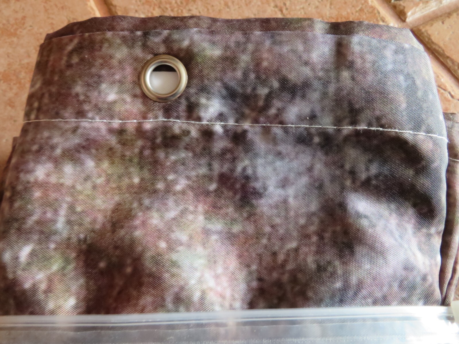Picture 5 of 6