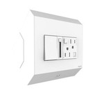 Legrand Adorne Square Control Box Paddle Dimmer 15A GFCI Outlet White APCB6W2