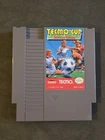 Tecmo Cup Soccer Game - Nintendo NES Captain Tsubasa
