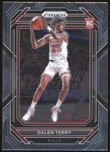 2022-23 Panini Prizm #240 Dalen Terry Chicago Bulls RC