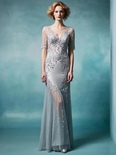 Evening Gown Wedding Guest Dress Tulle Satin Applique Short Sleeve Floor Length