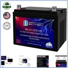 12V 320 Amps SLA AGM Battery for Lawn Mowers and Power Tool Compatibility