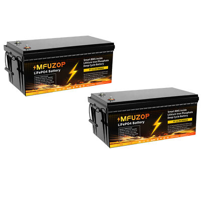 12V 300Ah Lithium Battery LiFePO4 BMS for RV Solar Boat Off-grid (2 Packs)