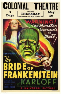 66123 The Bride of Frankenstein Boris Karlof Elsa Wall Decor Print Poster