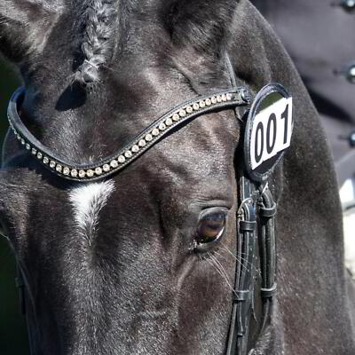 Equetech Trense Zahlenhalter in schwarz