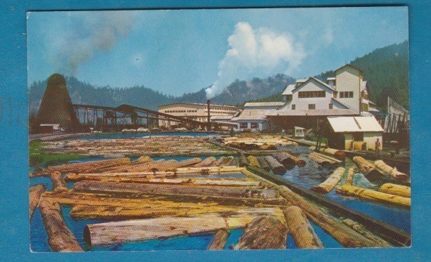 Redwood Empire, Ca/ Lumber mill/ mll situated at Scotia, Ca/ chrome postcard