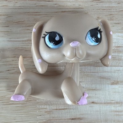 Littlest Pet Shop LPS Authentique - Chat Shorthair Européen N°1377 - Hasbro