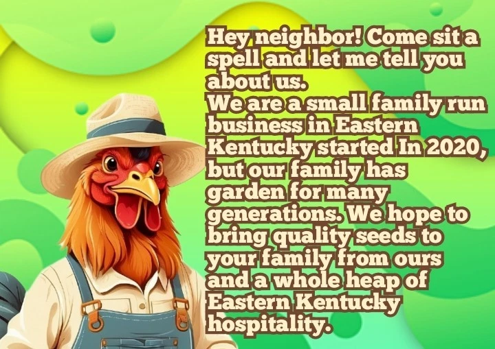 40 semillas de calabaza Waltham Butternut - ¡con bonificación! |Reliquia orgánica no transgénica Foto 2 de 4