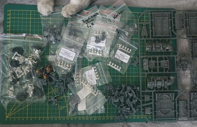 Collection clearance - Adepta Sororitas bundle
