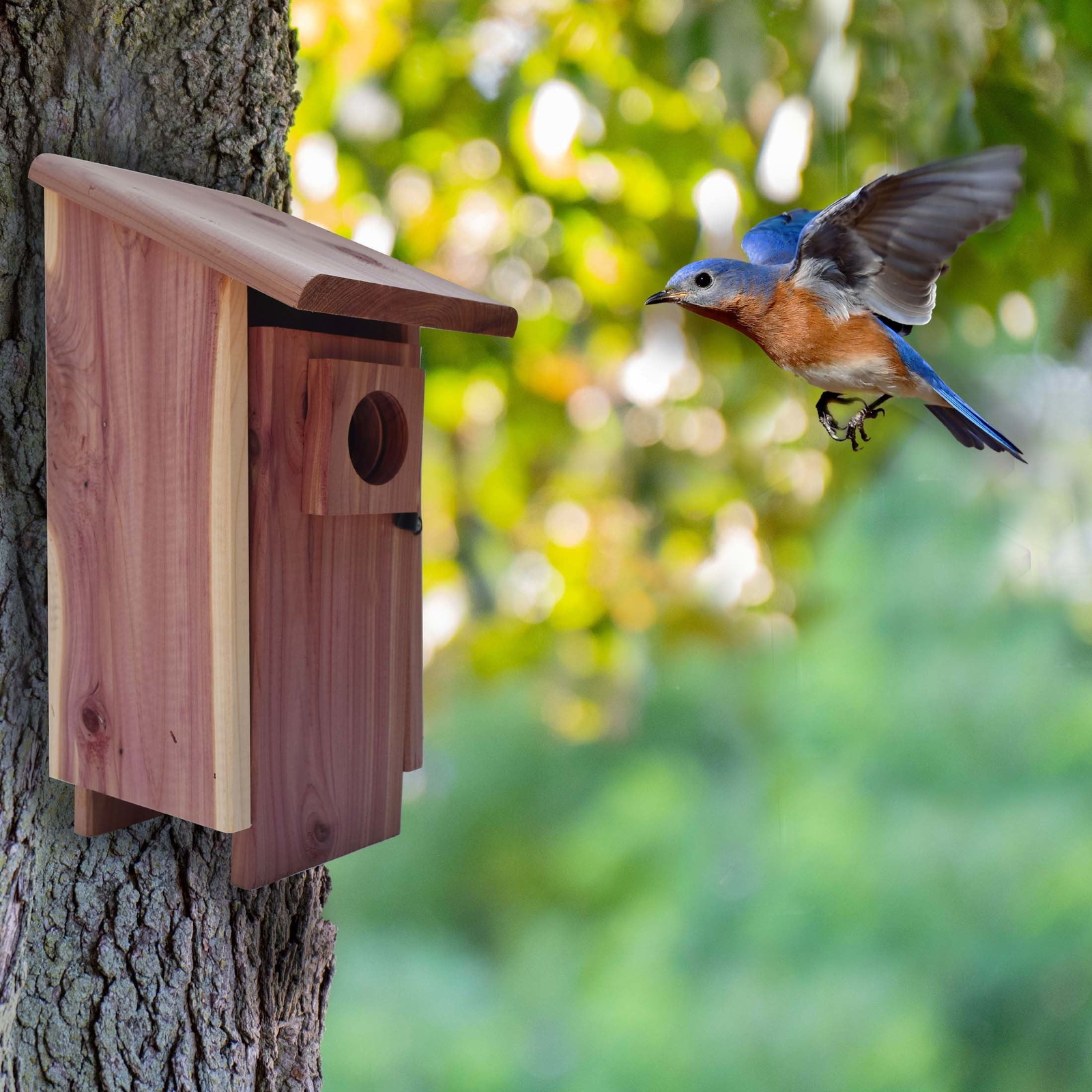 Pennington Red Bluebird Wild Bird House, 1 Pack