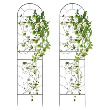Metal Garden Fences, Climbing Plant Racks, Flower Climbing Panels Modern Green