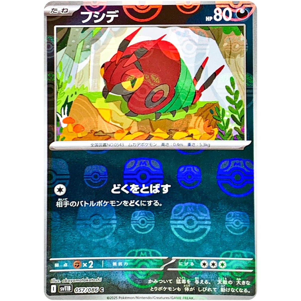 しんじ 暴走族 ボルボン ボンボン ボンボリ（白）直径2cm しんじ様専用 暴走族 ボルボン ボンボン ボンボリ（白）直径2cm