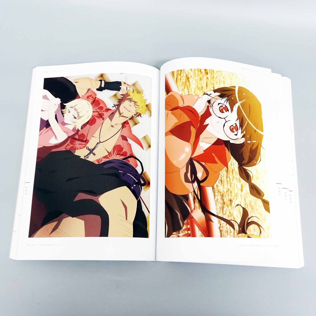 Bakemonogatari Animation 10th Anniversary Illustration Works Art