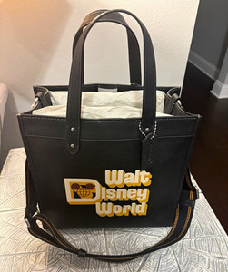 Coach Disney | eBay