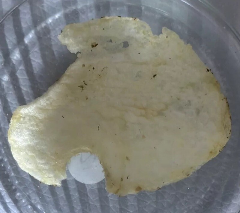 RARE Original Lays Potato Chip Finding Nemo