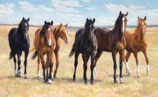 Ceramic Tile Mural Kitchen Backsplash - Brat Pack 2 - Horse Mural - Animals