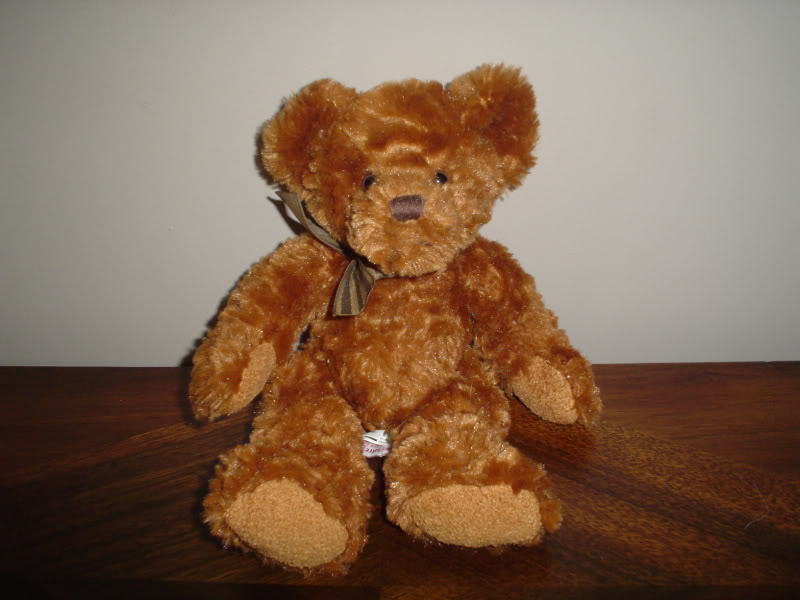 TD Canada Trust Childrens Miracle Network Teddy Bear | eBay