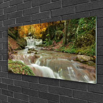 Glasbilder 100x50 Wandbild Druck auf Glas Wasserfall Wald Natur