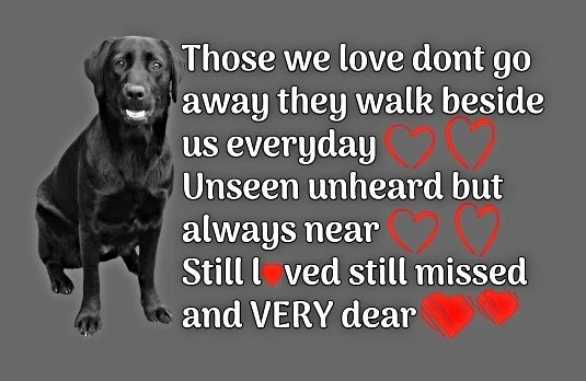 Black Labrador Memorial Poem Bereavement Gift Fridge Magnet eBay