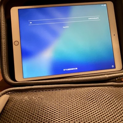 Apple iPad 6th Gen (2018) A1954 Wi-Fi 32GB Gold 9.7