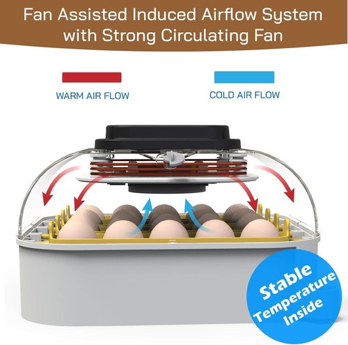 MATICOOPX 20 Egg Incubator w/ Humidity Display Candler Automatic Turner Hatching - Picture 6 of 6