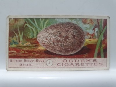 Ogden's Zigarettenkarte, Vögel Eier, #8 Himmelslerche (RD14)