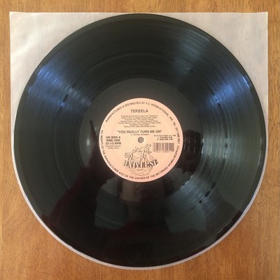 Tekeela You Really Turn Me On Vinyl Single Universe Records Echo Music Record