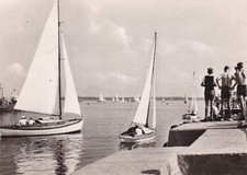 Ansichtskarte Greifswald Wieck Bodden Segelboot DDR Postkarte 1961 AK