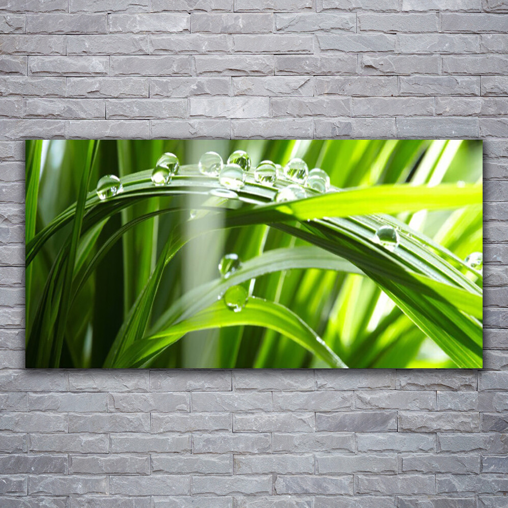Tableau sur verre Herbe Rosée 120x60 pour une déco chambre nature
