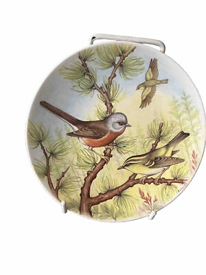 Vintage Poole Pottery Garden Birds 6  Decorative Plate England