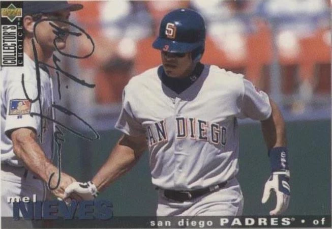 Silver Foil Signature