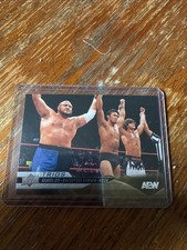 Samoa Joe & Katsuyori Shibata & Hook