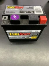 Everstart Platinum Powersport Battery TZ7S  For Motorcycles ATVS Snowmobile 7/23